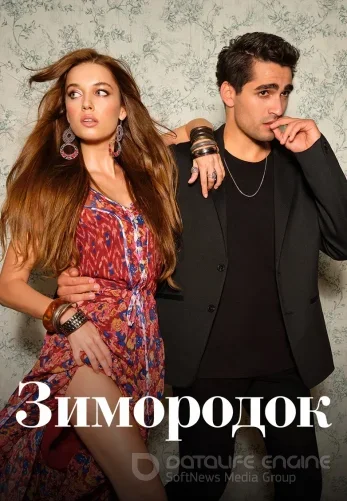 Зимородок 3 сезон 1-101, 102 серия на русском языке бесплатно все серии смотреть